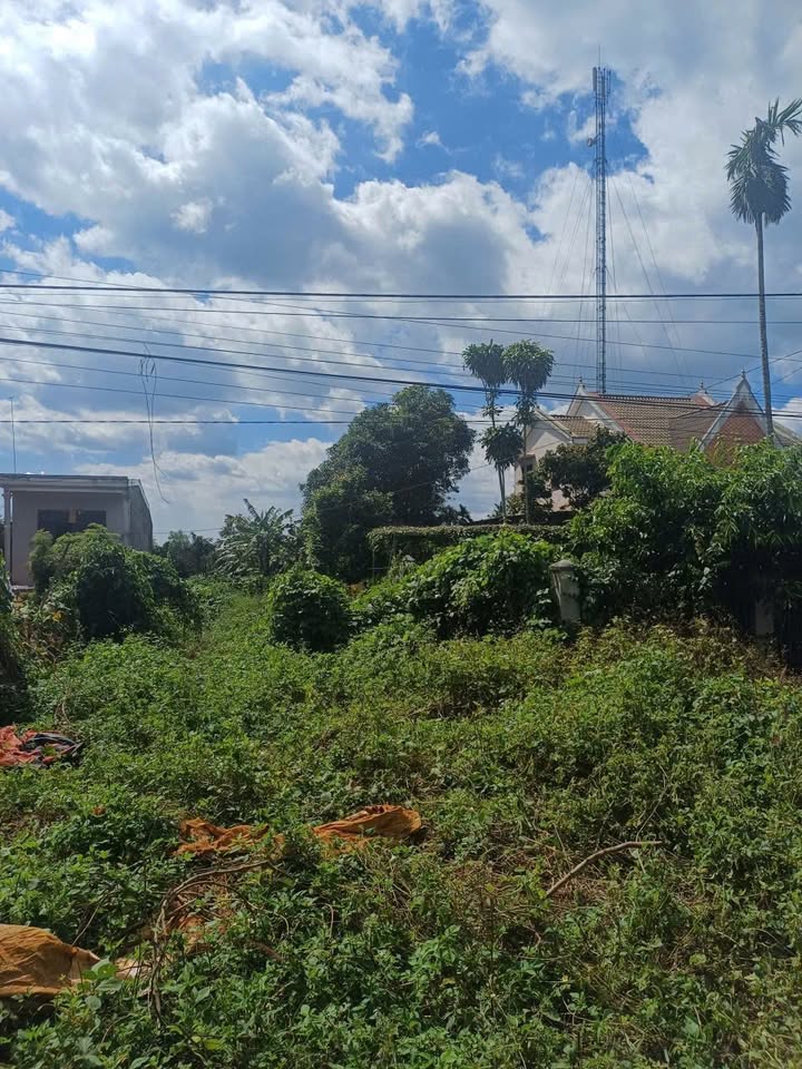 Đất mặt tiền QL14, Thôn Nông Trường Ia Glai 326.13m² - Kinh doanh sầm uất, giá 1.65 tỷ!