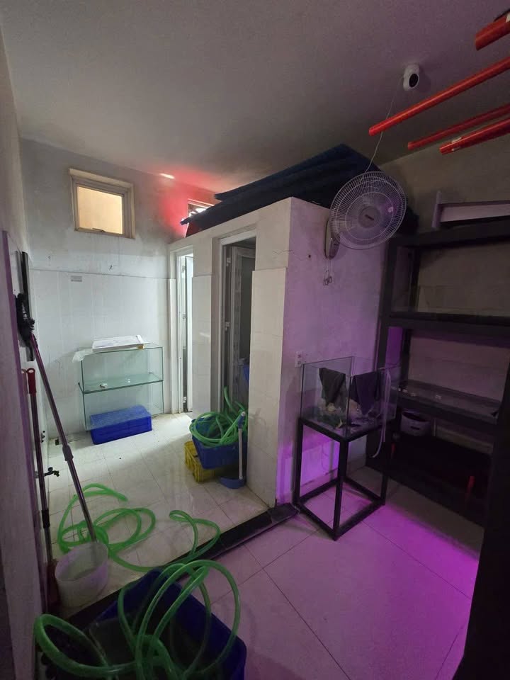 Cho thuê mặt bằng tầng 1 tại Phường Lê Thanh Nghị, TP. Hải Dương - Diện tích 124m² chỉ 5 triệu/tháng!