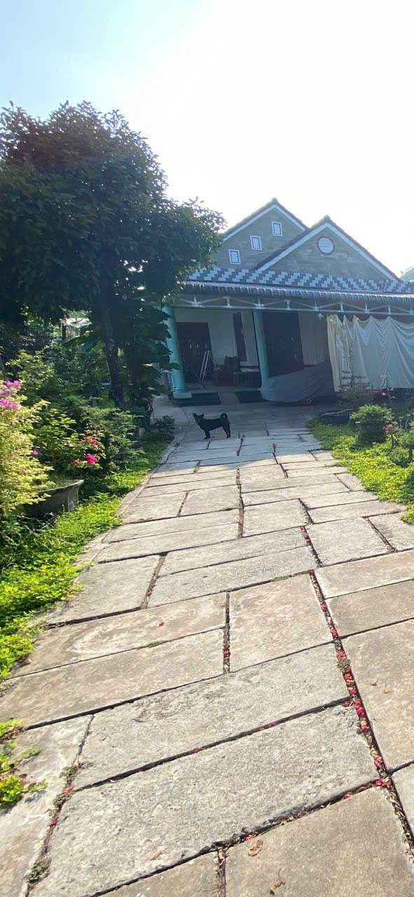 Nhà phố phường 3, TP. Vĩnh Long 693m² giá 9 tỷ - Chính chủ bán gấp!