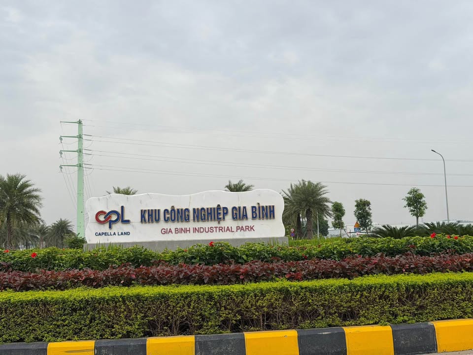 Đất nền thôn Ngọc Xuyên, Gia Bình, 132m² - Tiềm năng đầu tư lớn!