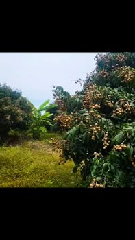 Đất nền La Ngà, Định Quán 2000m² giá chỉ 1.7 tỷ - Đường bê tông tận nơi!