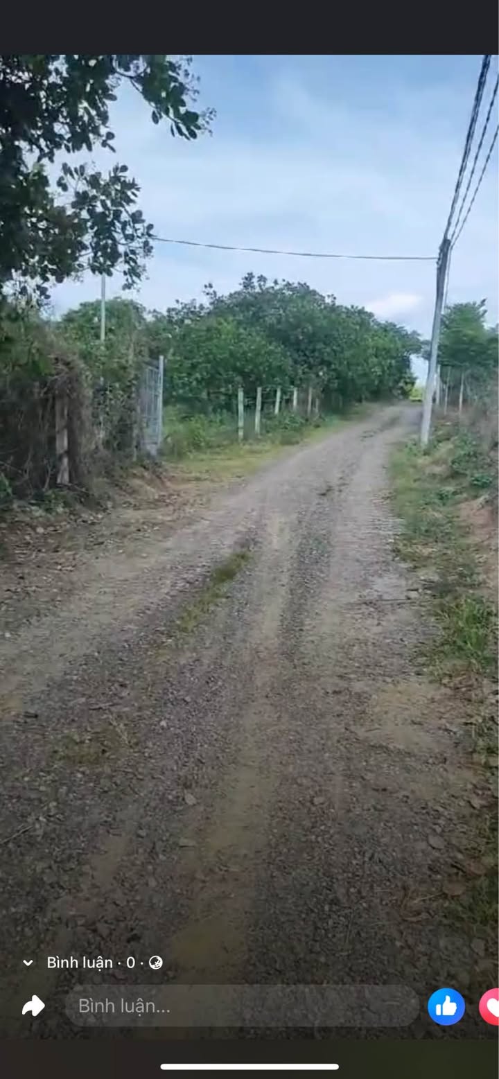 Đất nền 1000m² tại Ngọc Định, Định Quán, Đồng Nai - Giá 600 triệu, thương lượng tốt!