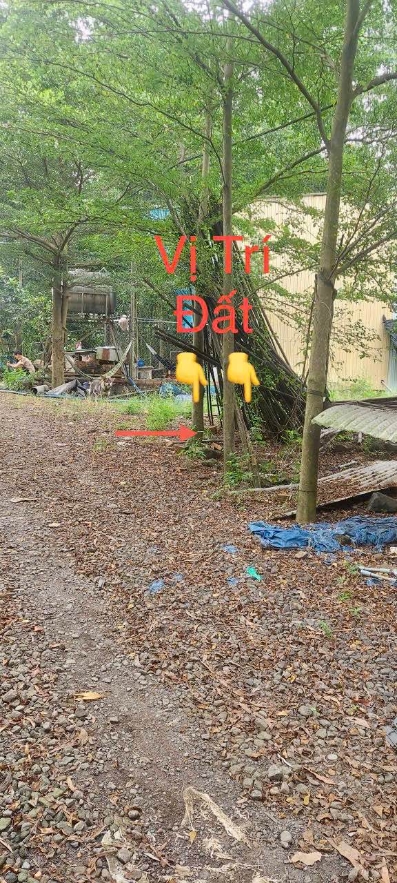 Đất nền Sông Trầu, Trảng Bom 100m² giá 400 triệu - Sổ đỏ chính chủ, bán gấp!