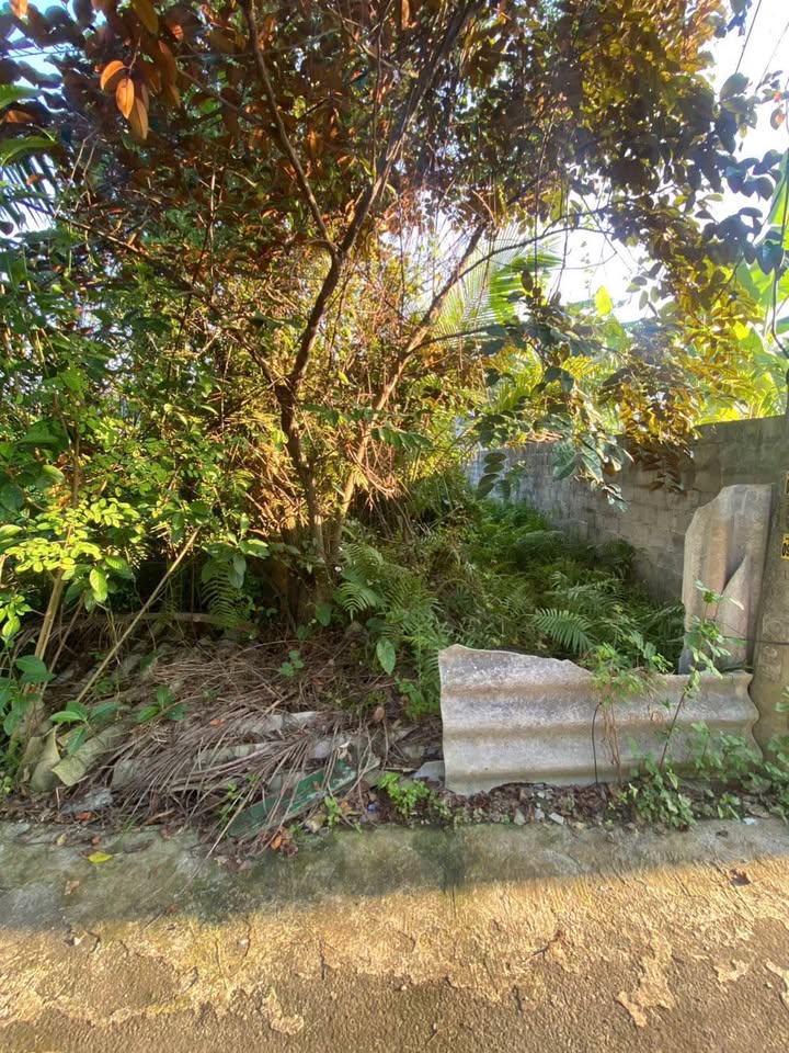 Đất nền An Hưng, Hải Phòng 154m² giá 880 triệu - Cơ hội đầu tư tuyệt vời!