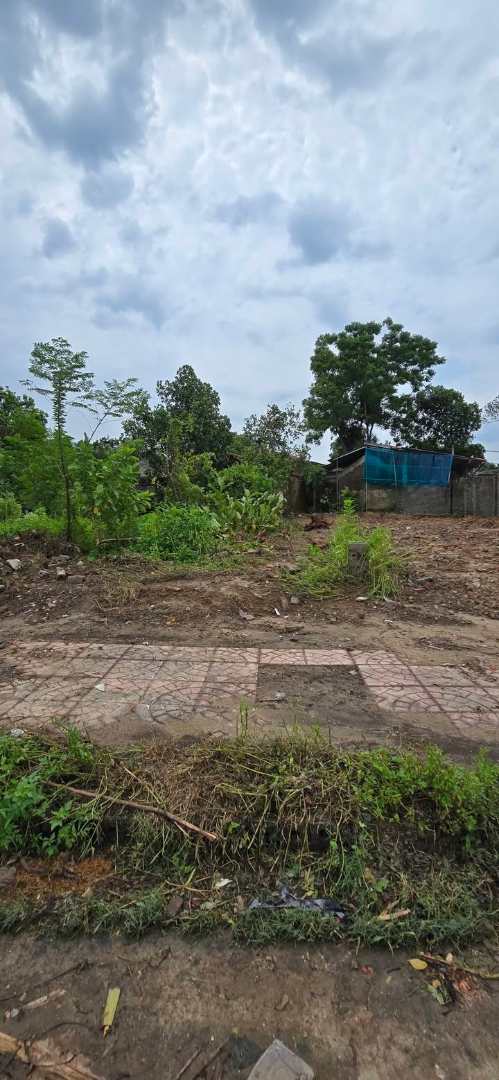 Lô đất vàng 200m² tại Yên Vinh, Thanh Lâm - Đầu tư sinh lời hoàn hảo!