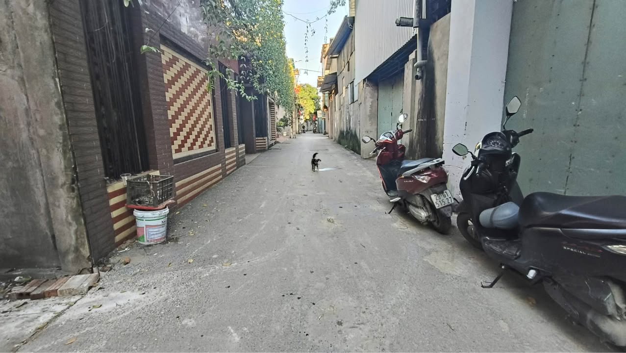 Đất nền Phù Khê, Từ Sơn, Bắc Ninh 42,4m² giá 1,4 tỷ - Vị trí đẹp, đầu tư sinh lời!