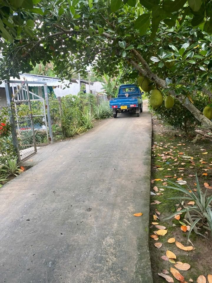 Đất thổ cư 72m² tại đường Láng Sen, phường Hiệp Lợi - Giá 650 triệu, thương lượng