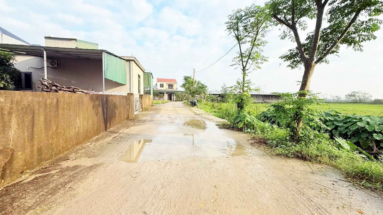 Đất nền phường Thạch Linh, Hà Tĩnh 99m² giá chỉ 1.5 tỷ - Đầu tư lý tưởng!