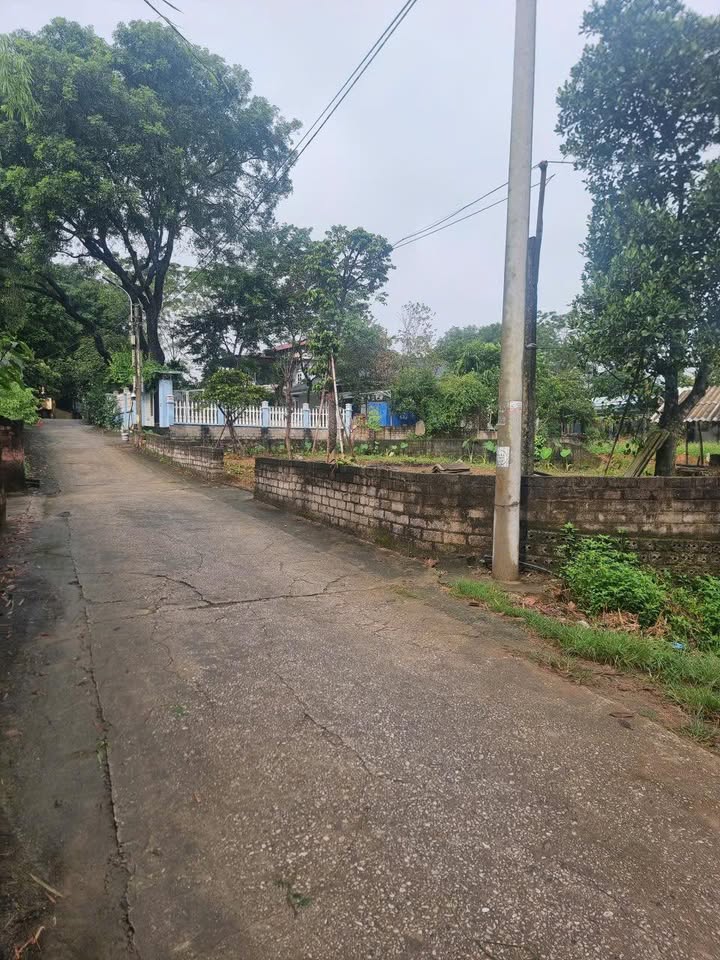 Đất thổ cư Thanh Mỹ 100m² giá 1.6 tỷ - Gần hồ điều hòa, tiện ích đầy đủ!