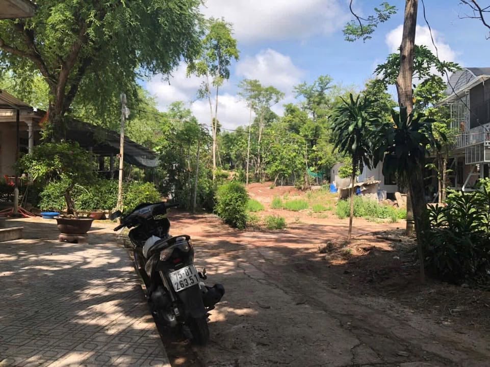 Đất nền đẹp tại đường Hoài Thanh, phường Thủy Xuân, 154m² giá chỉ 15 triệu - Cơ hội đầu tư hiếm có!