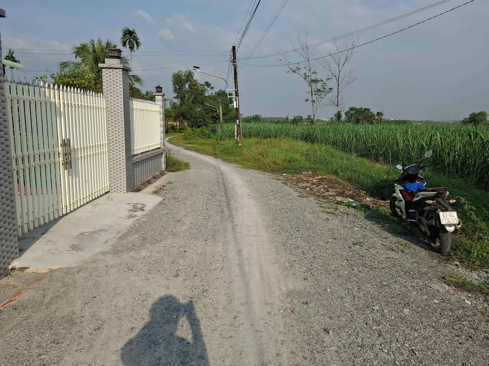 Bán nhà vườn tại Phước Thạnh, Tây Ninh 1001m² giá 2.1 tỷ - Không thể bỏ lỡ!