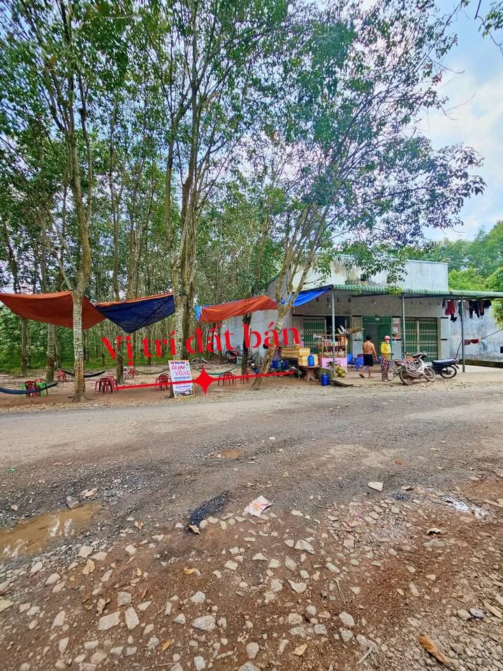 Đất nền Hưng Hòa, Bàu Bàng 620m² giá 2.8 tỷ - Cơ hội đầu tư hấp dẫn!