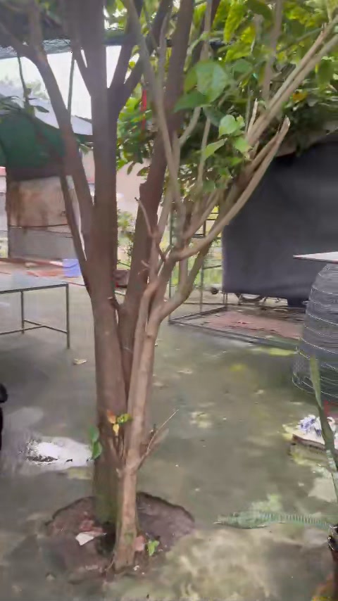 Đất nền 150m² xã Xuân Thới Sơn, Hóc Môn - Sổ đỏ chính chủ, giá 2.2 tỷ thương lượng!