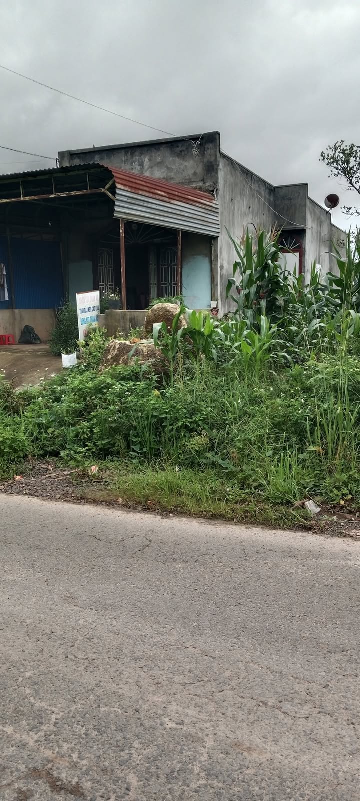 Nhà bán mặt đường nhựa 6m xã Phúc Thọ 240m² giá 1.35 tỷ - Cơ hội đầu tư tuyệt vời!