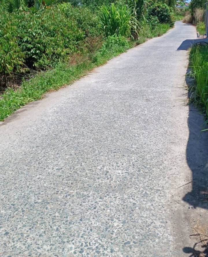 Đất mặt tiền đường liên xã Tân Thiềng, Chợ Lách, 2000m² - Giá tốt đầu tư!