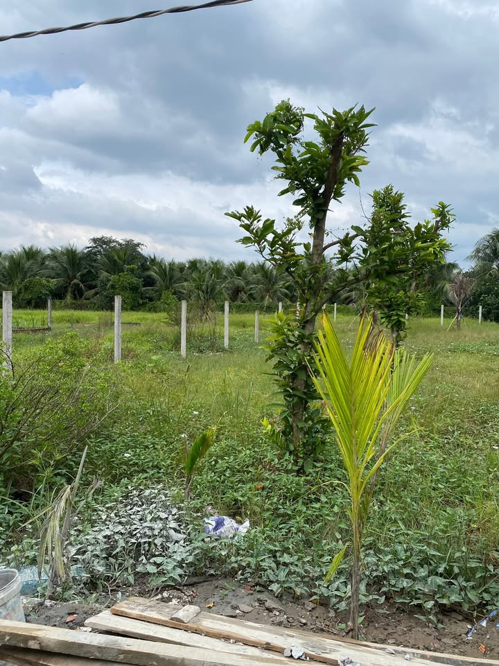 Đất nền phường Mỹ Phong, TP. Mỹ Tho 162m² giá 450 triệu - Pháp lý rõ ràng, xây nhà ngay!