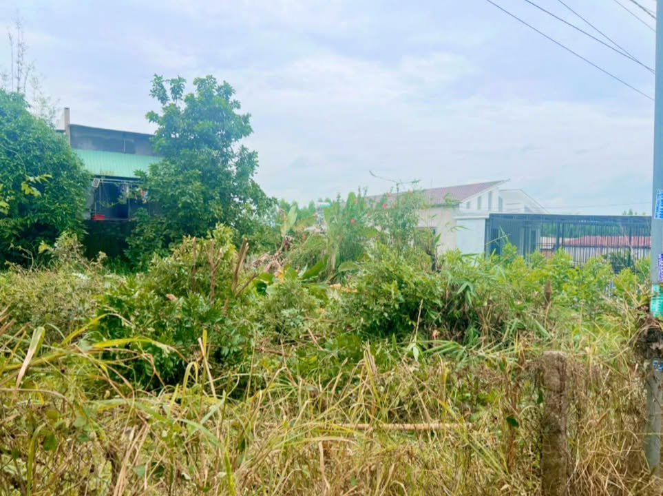 Đất nền Xuân Tâm, Xuân Lộc 10m mặt tiền chỉ 800 triệu - Cơ hội đầu tư không thể bỏ lỡ!