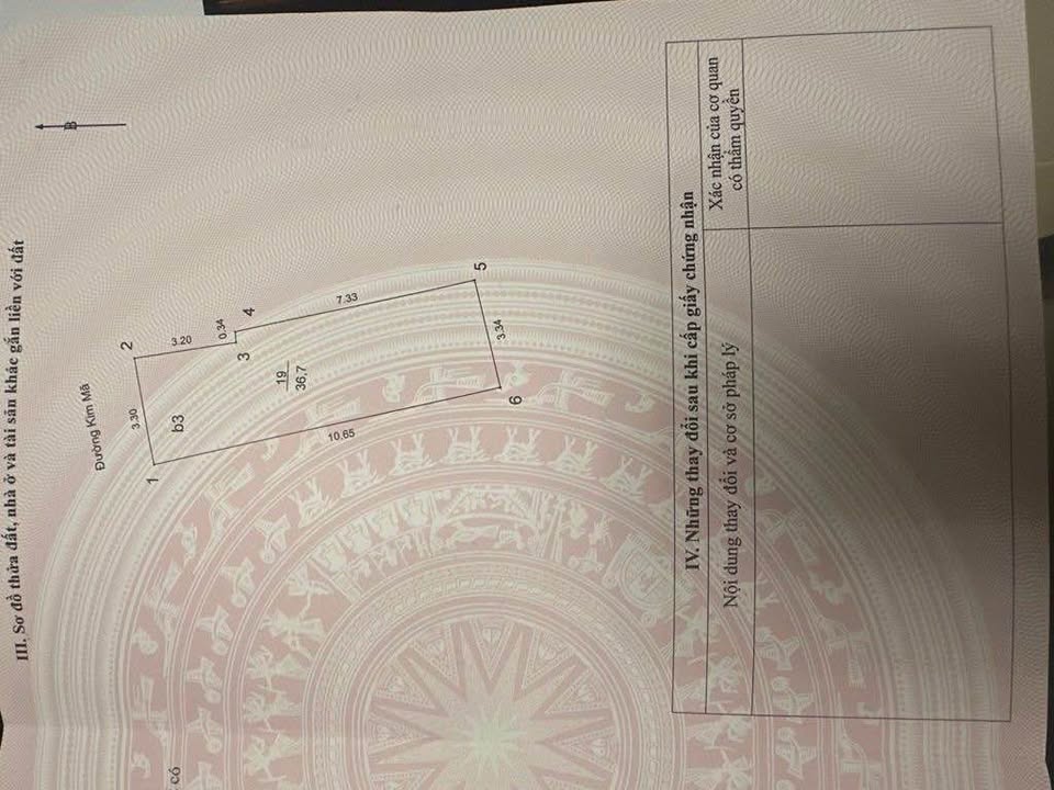 Nhà mặt phố Kim Mã 37m² giá 23.8 tỷ - Kinh doanh đỉnh cao!