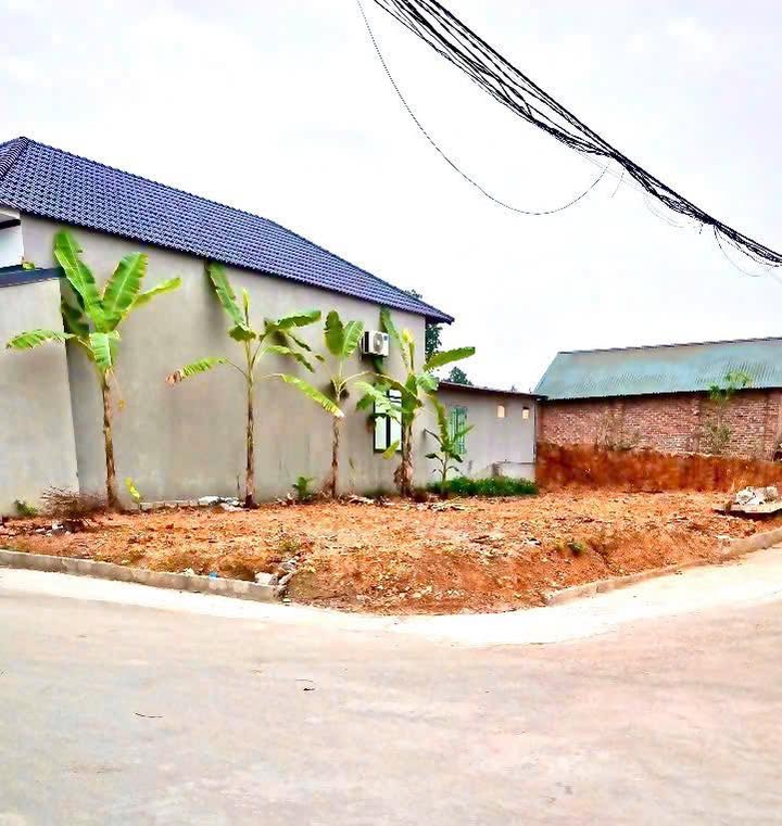 Đất liền kề đẹp tại Đạo Tú, Tam Dương, Vĩnh Phúc - Giá chỉ 1 tỷ!