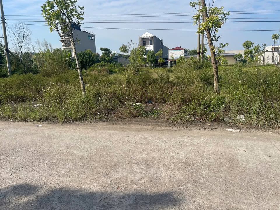 Đất đấu giá Đồng Tâm Vĩnh Yên 100m² giá 2.9 tỷ - Vị trí đẹp, cơ hội đầu tư hấp dẫn!