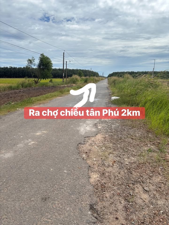 Đất nền Ấp Tân Lợi, Tân Phú, Tây Ninh 250m² chỉ 380 triệu - Cơ hội đầu tư lý tưởng!