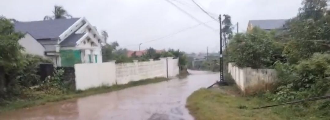 Đất nền thôn Lũ Phong, xã Quỳnh Lưu, Ninh Bình 280m² - Cơ hội đầu tư tốt!