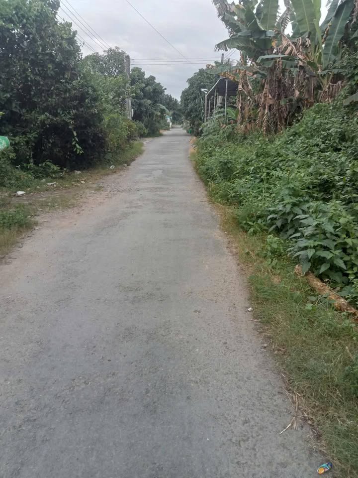 Đất nền Thanh Mỹ, Tháp Mười 67m² giá 430 triệu - Đầu tư sinh lời ngay!