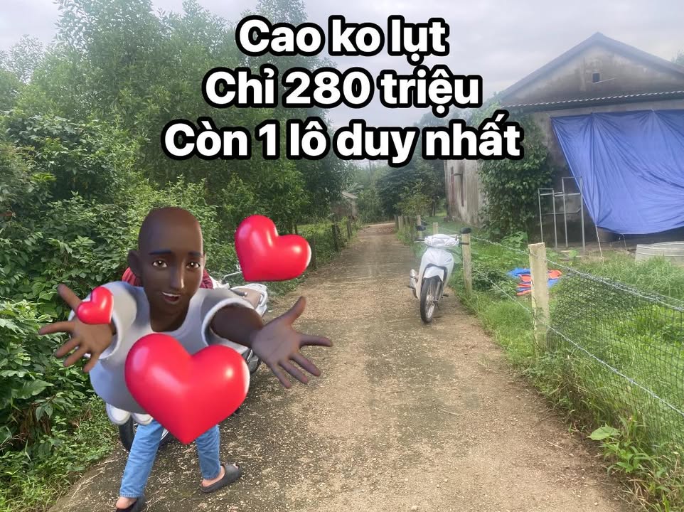 Đất nền Ái Tử 150m² giá chỉ 280 triệu - Cơ hội đầu tư tuyệt vời!