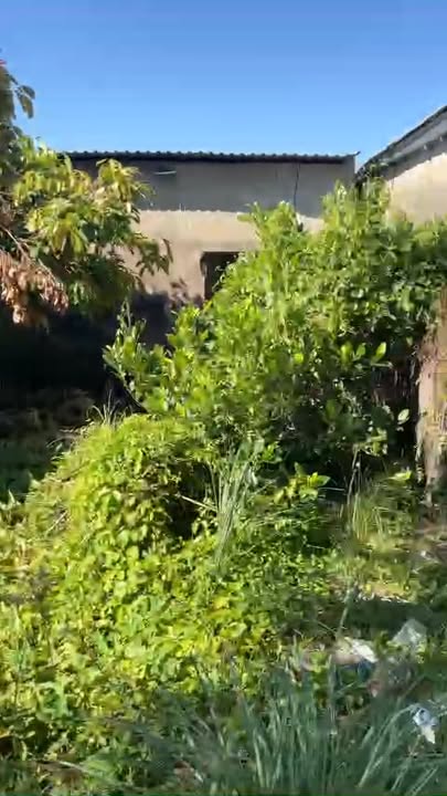 Nhà cấp 4 mặt tiền Sông Xoài Rạp Cần Giờ 300m² giá 5 tỷ - Tiện ở hoặc cho thuê!