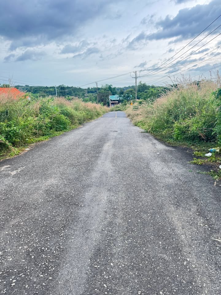 Đất trồng cây 369m² tại Châu Đức, Bà Rịa - Vũng Tàu chỉ 150 triệu - Cơ hội đầu tư lý tưởng!