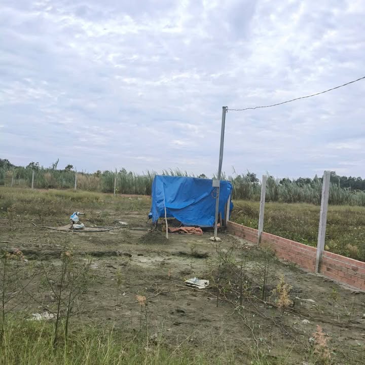 Đất lúa 1368m² Trường Hòa, Hòa Thành, Tây Ninh chỉ 450 triệu - Cơ hội đầu tư tốt!