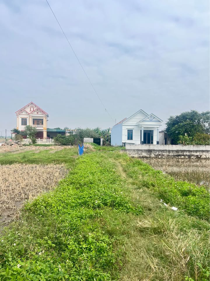 Đất nền Quảng Định 227m² giá 1.4 tỷ - Đầu tư sinh lời ngay!