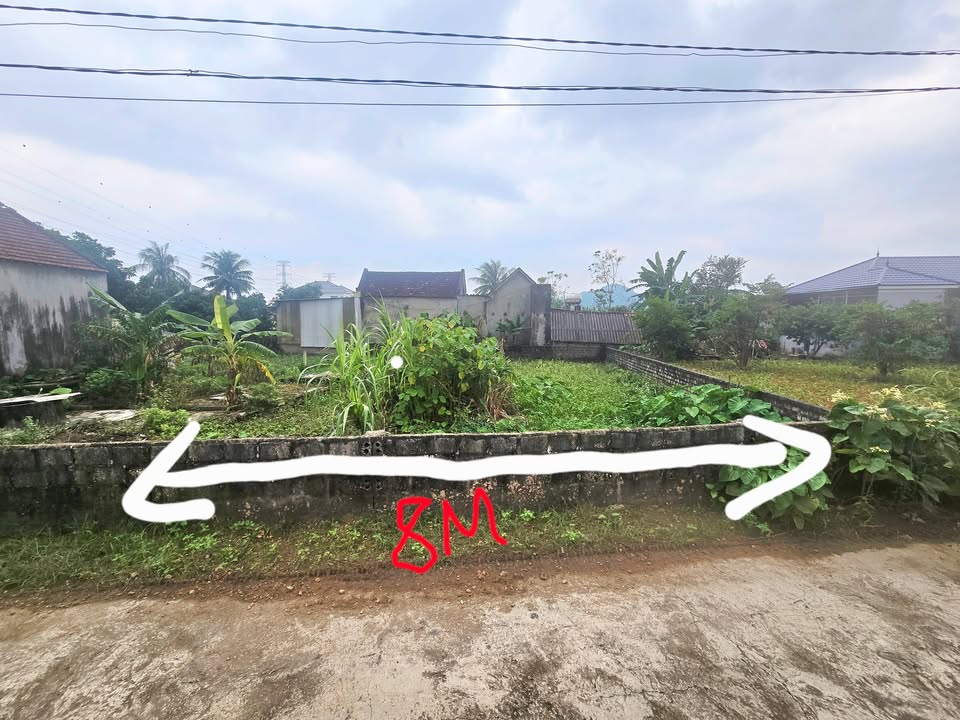 Đất nền Tân Hợp, Nghĩa Đàn 184m² giá thỏa thuận - Cơ hội đầu tư sinh lời!