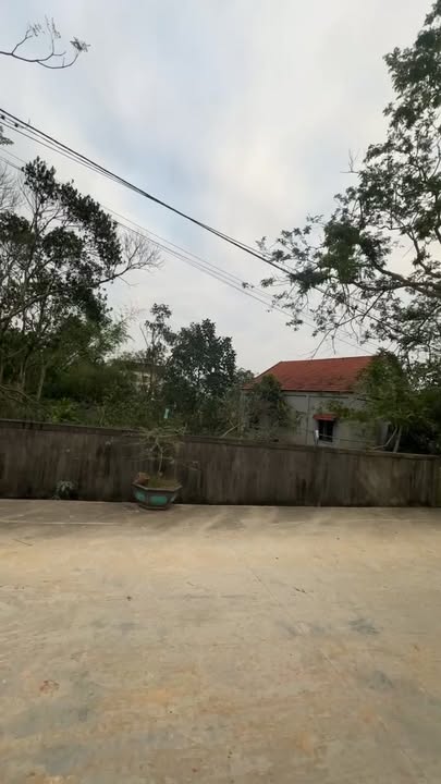 Đất thổ cư 372m² tại Nam Lĩnh, Nghệ An - Giá chỉ 1.8 tỷ, thuận lợi chia đôi!