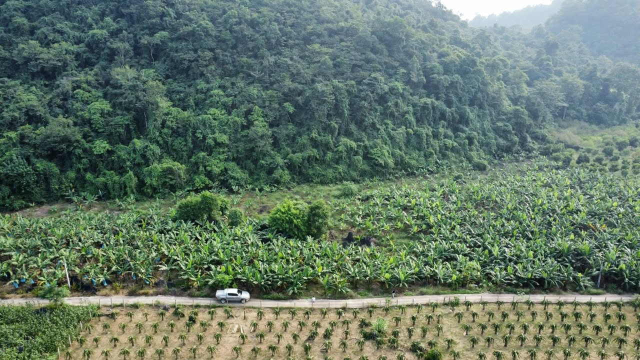 Đất thổ cư tại Phong Quang, Vị Xuyên 6090m² - Chính chủ bán gấp!