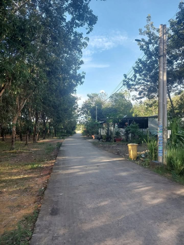 Đất thổ cư Tiến Thành, Đồng Xoài 480m² giá 1.5 tỷ - Đầu tư sinh lời cao!