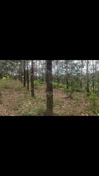 Đất nền 1.8ha tại thôn 7, xã Đoàn Kết, giá 1.1 tỷ - Cơ hội đầu tư hiếm có!