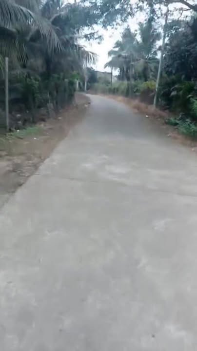 Đất nông nghiệp 20.000m² tại Phú Thịnh, Tân Phú - Giá chỉ 576 triệu