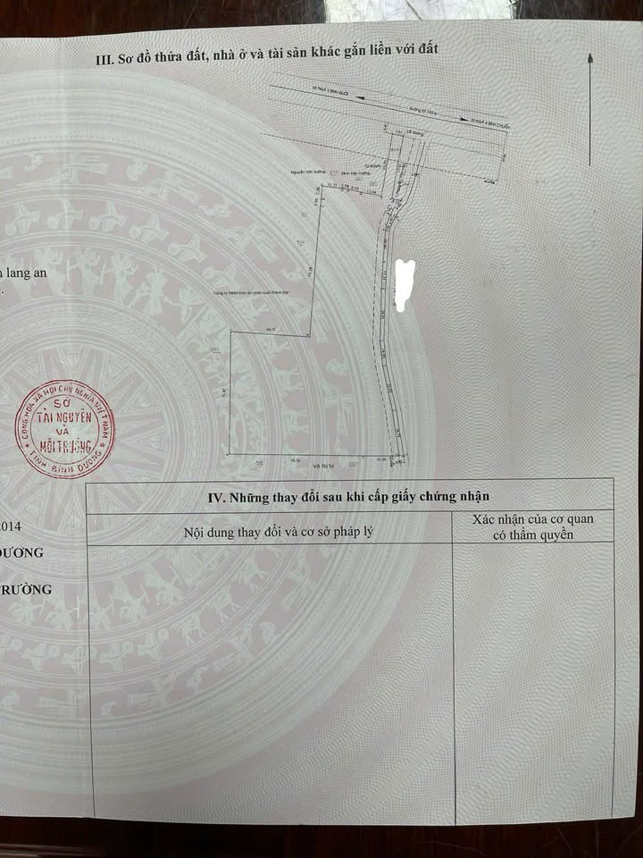 Đất nền 1 hecta tại Thuận An, Bình Dương - Đầu tư sinh lời tiềm năng!