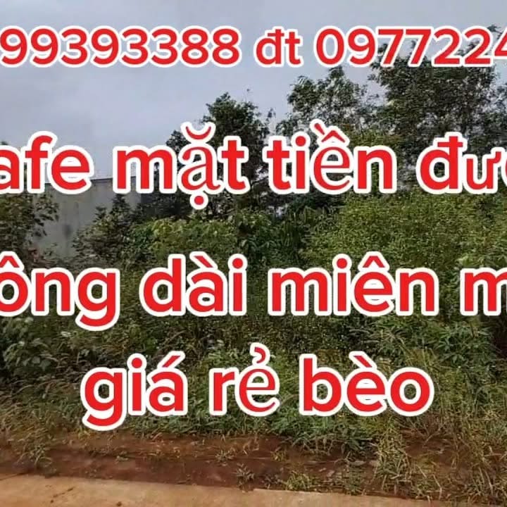 Đất nền Đăk Ha 150m² giá 3.5 tỷ - Mặt tiền đường bê tông, cơ hội đầu tư hấp dẫn!