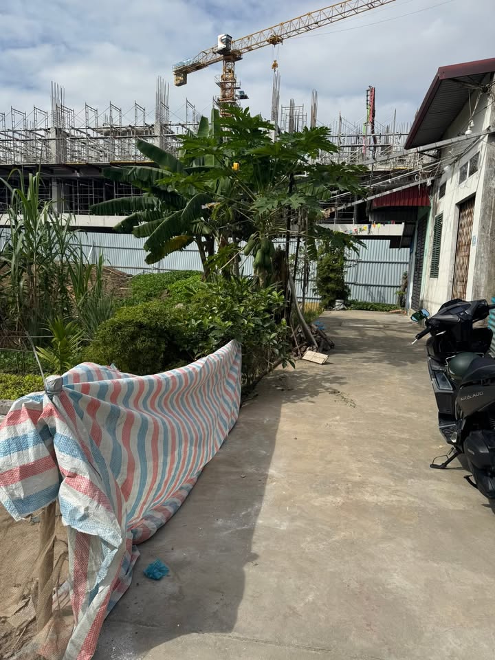 Đất nền Đồng Hoà Kiến An 65m² giá 2.39 tỷ - Ngõ ô tô vào tận nơi!