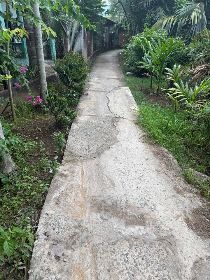 Đất nền Tân Hội, Mỏ Cày Nam 621m² giá 550 triệu - Cơ hội đầu tư tuyệt vời!