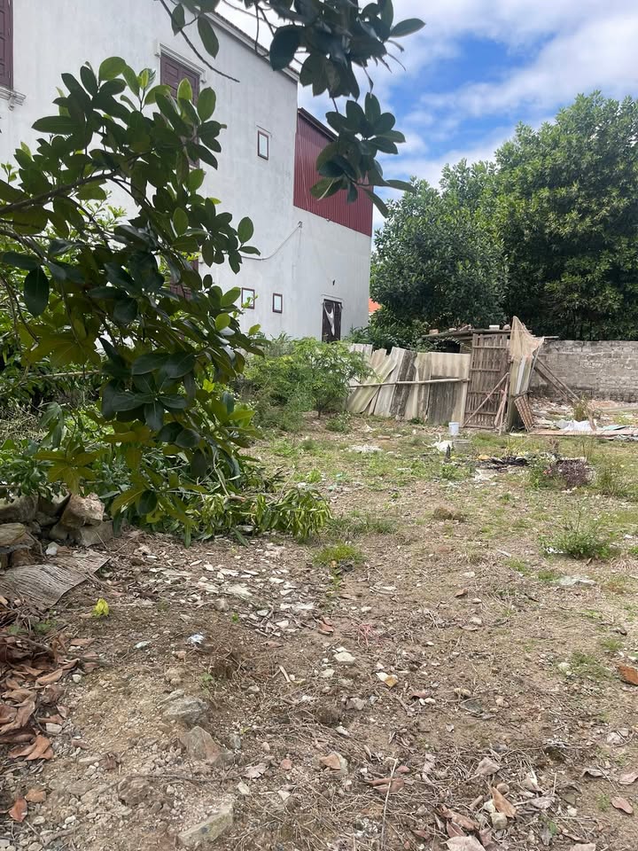 Đất thổ cư 150m² tại Thanh Trung, Chí Linh chỉ 700 triệu - Cơ hội đầu tư tốt!