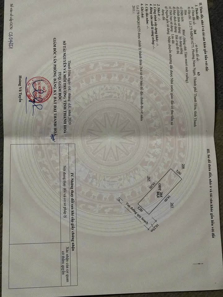 Đất nền chính chủ Phường Hàm Rồng 80m² - Hướng Đông mát mẻ, cơ hội đầu tư tuyệt vời!