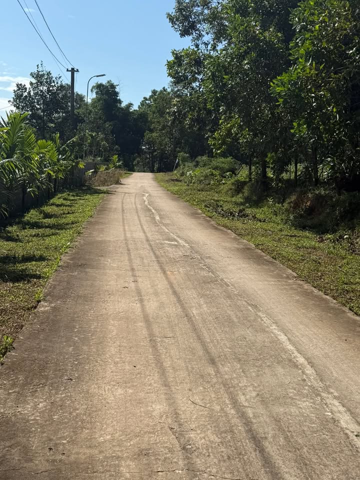 Đất thổ cư 900m² tại Thọ Bình, Triệu Sơn - Giá tốt, cơ hội đầu tư hấp dẫn!