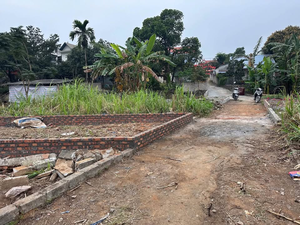 Đất nền lô góc 66m² Tích Giang giá 1.0 tỷ - Đầu tư sinh lời ngay!