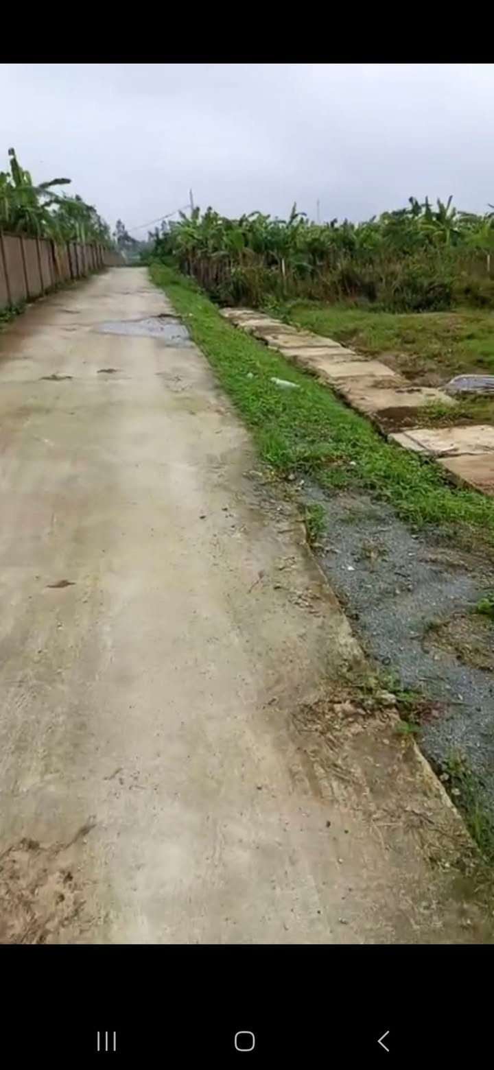 Đất Nền Nghi Vạn 120m² giá 900 triệu - Vị trí đắc địa, thuận lợi cho đầu tư!