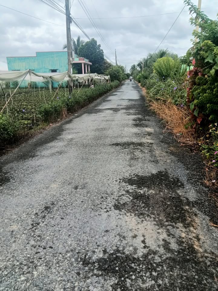 Đất nền Gò Công Tân Đông 180m² giá 790 triệu - Cơ hội đầu tư hấp dẫn!