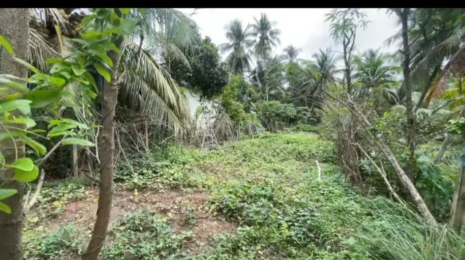 Đất nền Đông Hòa Châu Thành 356.7m² giá 950 triệu - Cơ hội đầu tư hấp dẫn!