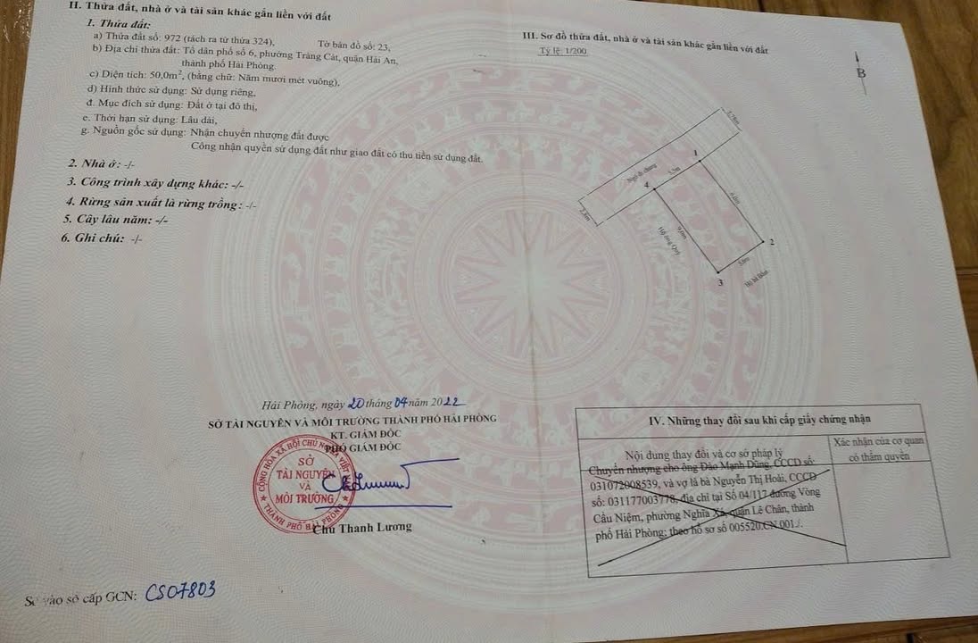 Đất nền Tràng Cát 50m² giá 1.4 tỷ - Đầu tư sinh lời ngay!